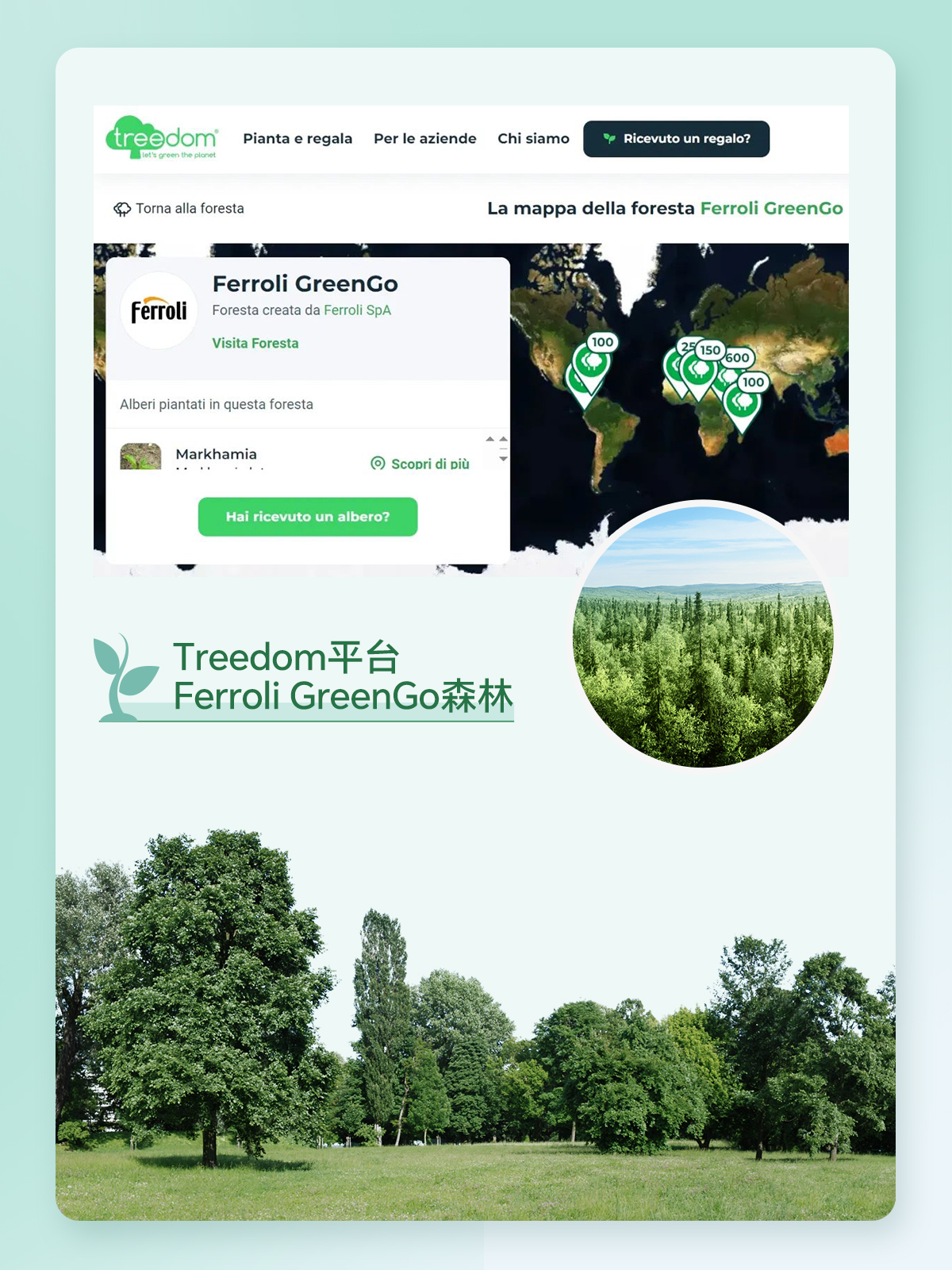 中国·88858cc永利(股份)有限公司-官方网站